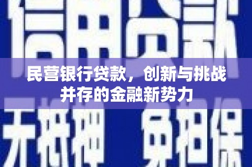 漠河民营银行贷款，创新与挑战并存的金融新势力