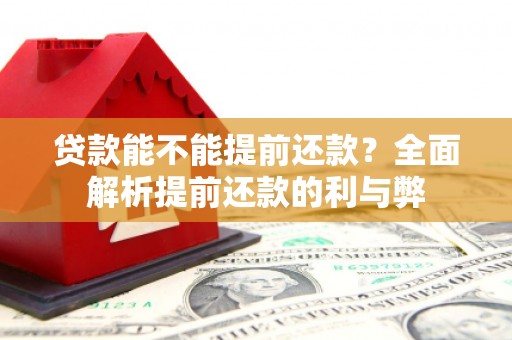 巴青贷款能不能提前还款？全面解析提前还款的利与弊