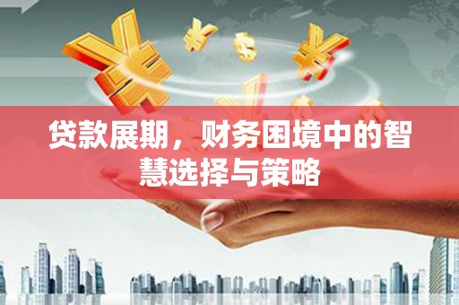 边坝贷款展期，财务困境中的智慧选择与策略