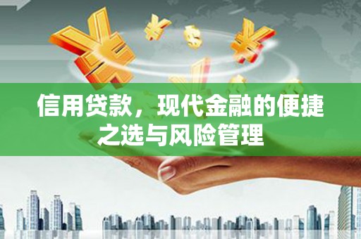 泸西信用贷款，现代金融的便捷之选与风险管理