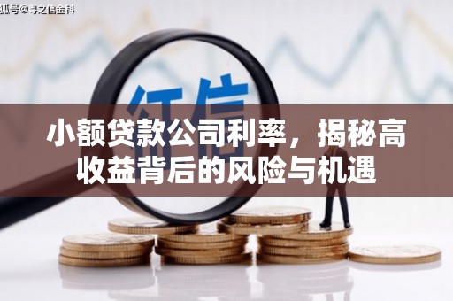 蓬江小额贷款公司利率，揭秘高收益背后的风险与机遇