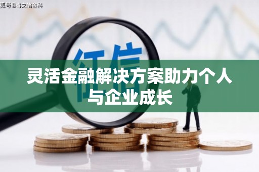 宿松灵活金融解决方案助力个人与企业成长