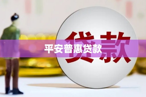 龙崎平安普惠贷款