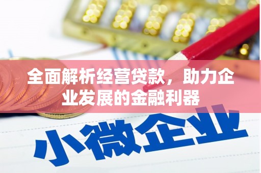 海东全面解析经营贷款，助力企业发展的金融利器