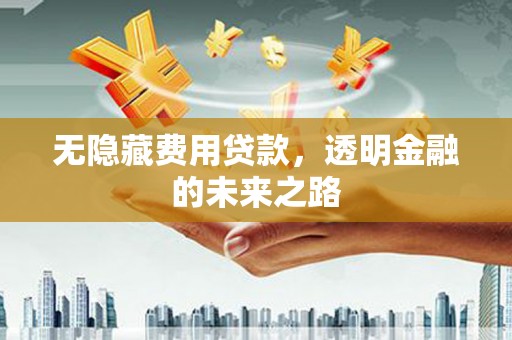 昌图无隐藏费用贷款，透明金融的未来之路