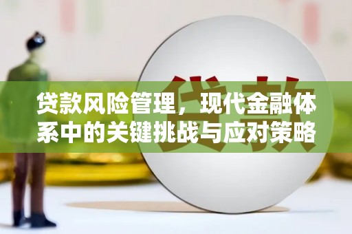 巧家贷款风险管理，现代金融体系中的关键挑战与应对策略