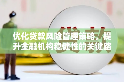 右江优化贷款风险管理策略，提升金融机构稳健性的关键路径