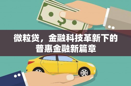 澜沧微粒贷，金融科技革新下的普惠金融新篇章