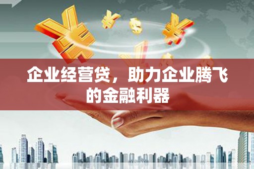 达孜企业经营贷，助力企业腾飞的金融利器