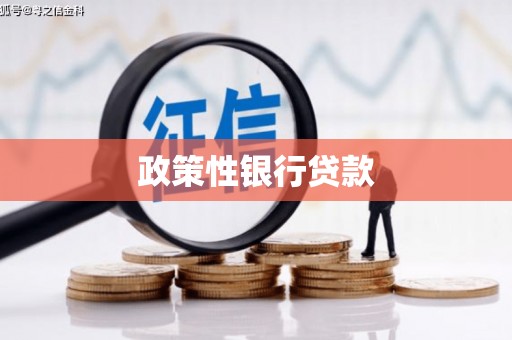 水城政策性银行贷款