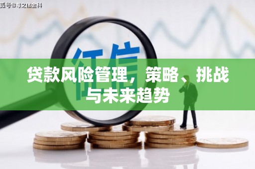 蒙阴贷款风险管理，策略、挑战与未来趋势