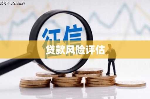 清镇贷款风险评估