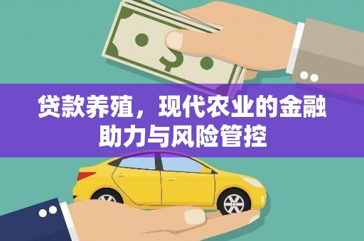 代县贷款养殖，现代农业的金融助力与风险管控