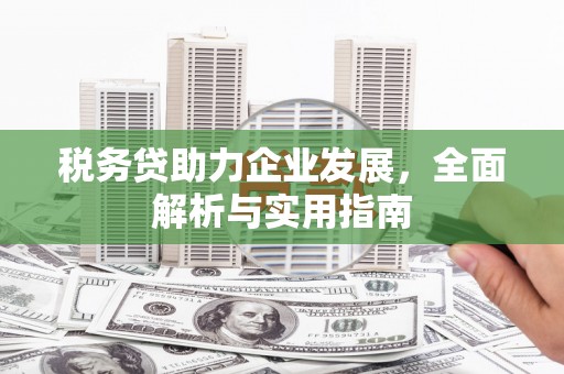 修文税务贷助力企业发展，全面解析与实用指南
