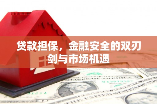丰都贷款担保，金融安全的双刃剑与市场机遇