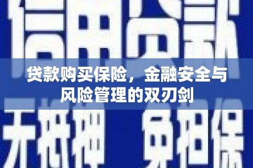 狮子山贷款购买保险，金融安全与风险管理的双刃剑