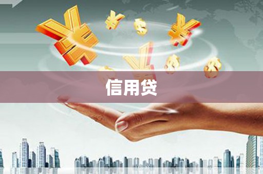 沧县信用贷