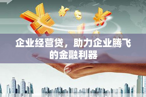于田企业经营贷，助力企业腾飞的金融利器