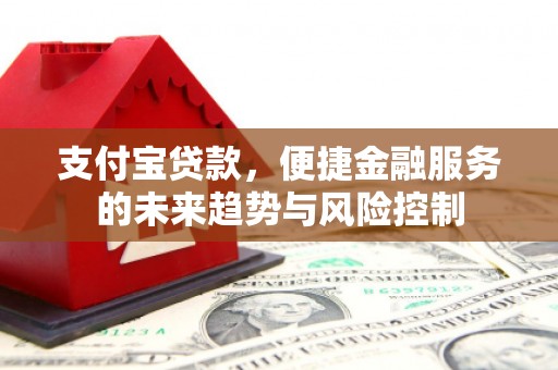 那曲支付宝贷款，便捷金融服务的未来趋势与风险控制