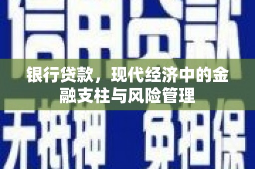 沙坡头银行贷款，现代经济中的金融支柱与风险管理