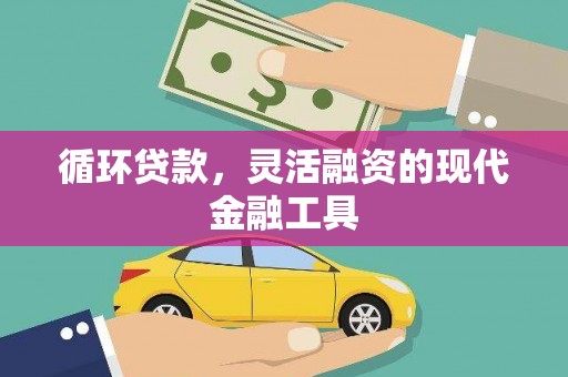 丽水循环贷款，灵活融资的现代金融工具