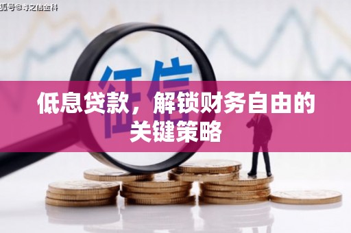 商南低息贷款，解锁财务自由的关键策略