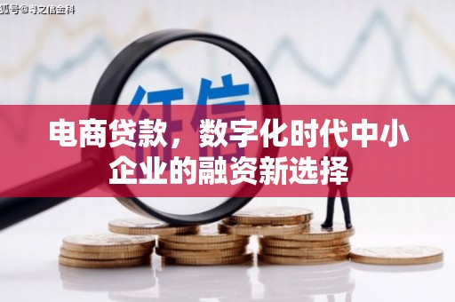 代县电商贷款，数字化时代中小企业的融资新选择