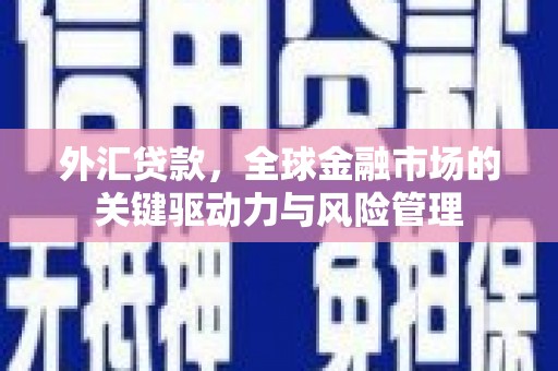 海拉尔外汇贷款，全球金融市场的关键驱动力与风险管理
