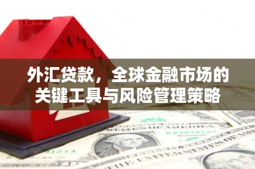 高碑店外汇贷款，全球金融市场的关键工具与风险管理策略