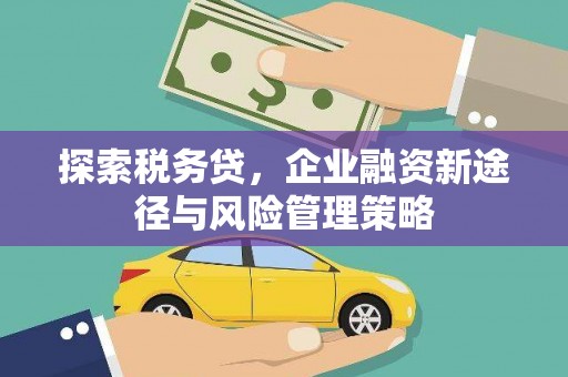 唐山探索税务贷，企业融资新途径与风险管理策略