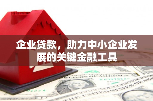 连云企业贷款，助力中小企业发展的关键金融工具