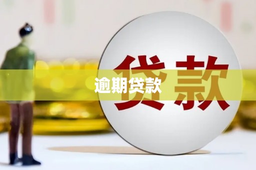 宜丰逾期贷款