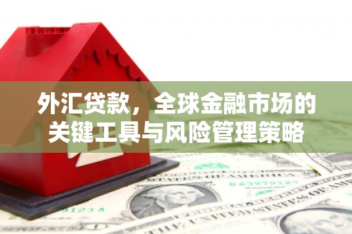和县外汇贷款，全球金融市场的关键工具与风险管理策略