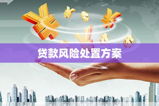 靖边贷款风险处置方案