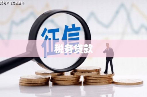银川税务贷款