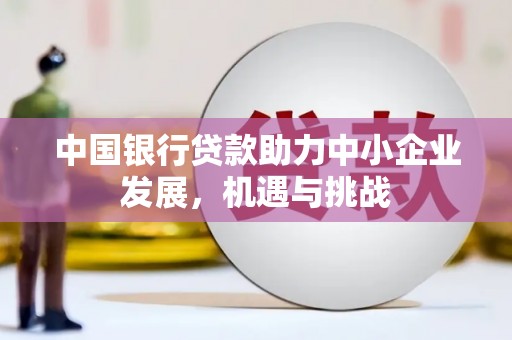 新郑中国银行贷款助力中小企业发展，机遇与挑战