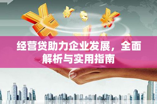 南乐经营贷助力企业发展，全面解析与实用指南