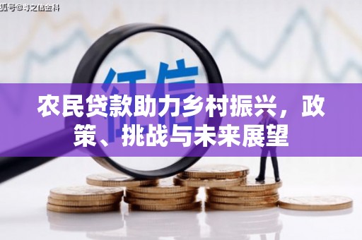 丹寨农民贷款助力乡村振兴，政策、挑战与未来展望