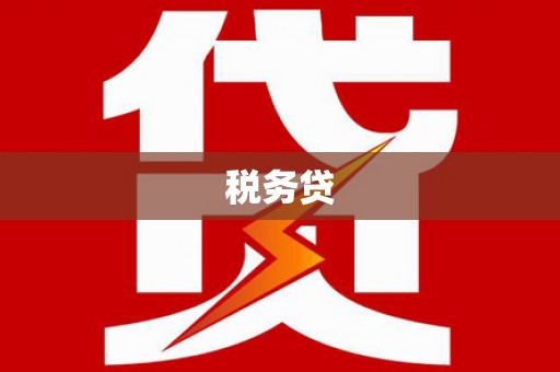 远安税务贷