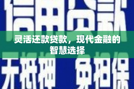 广水灵活还款贷款，现代金融的智慧选择