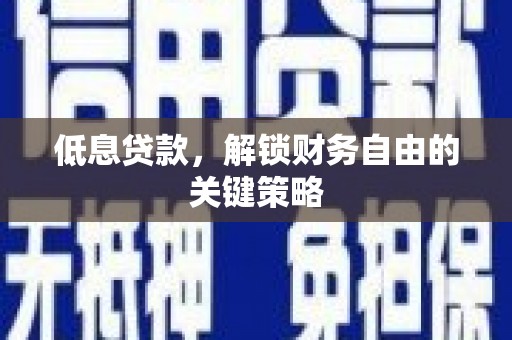 二仑低息贷款，解锁财务自由的关键策略
