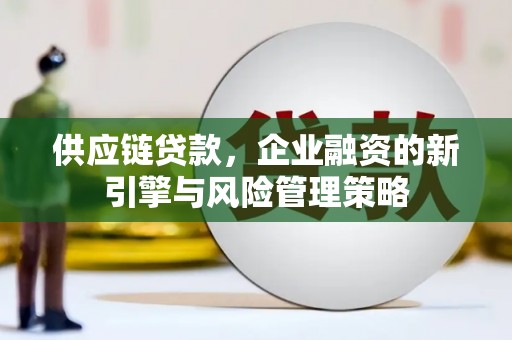 中国香港供应链贷款，企业融资的新引擎与风险管理策略