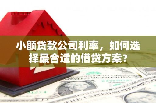 白云小额贷款公司利率，如何选择最合适的借贷方案？