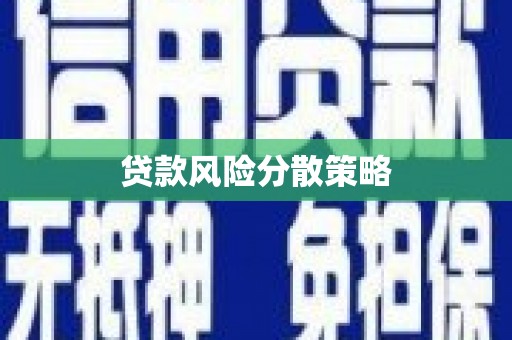 兴海贷款风险分散策略
