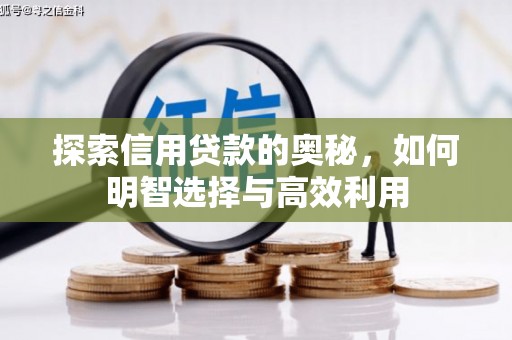 丰城探索信用贷款的奥秘，如何明智选择与高效利用