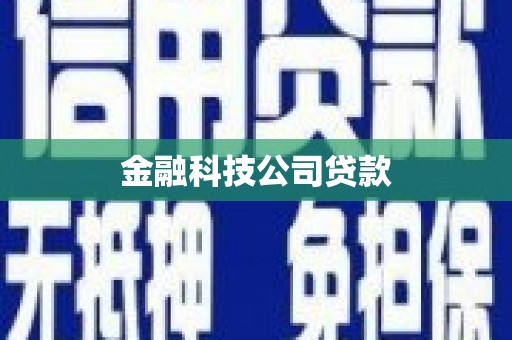 丰县金融科技公司贷款