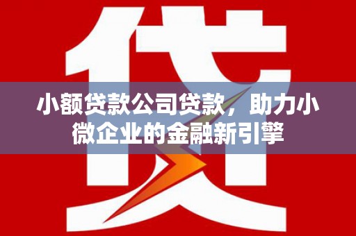 台西小额贷款公司贷款，助力小微企业的金融新引擎