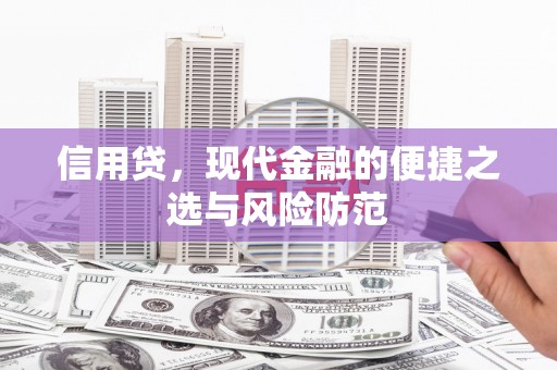浔阳信用贷，现代金融的便捷之选与风险防范
