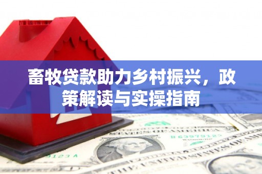 梓官畜牧贷款助力乡村振兴，政策解读与实操指南