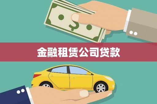 新洲金融租赁公司贷款